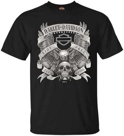 Harley-Davidson Men's Distressed Shady Skull Short Sleeve T-Shirt